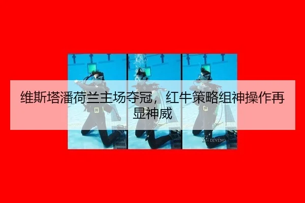 wei-si-ta-pan-he-lan-zhu-chang-duo-guan-hong-niu-ce-lve-zu-shen-cao-zuo-zai-xian-shen-wei-2-683.jpg