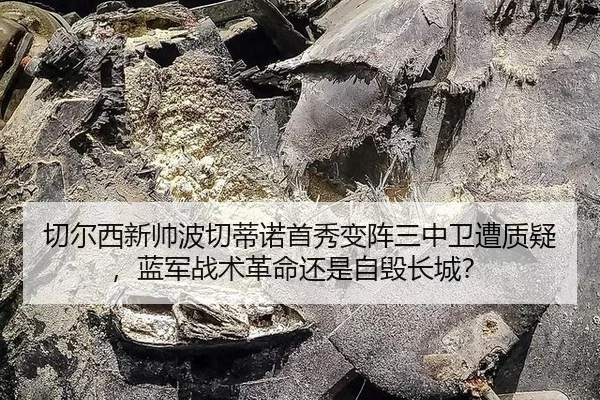 qie-er-xi-xin-shuai-bo-qie-di-nuo-shou-xiu-bian-zhen-san-zhong-wei-zao-zhi-yi-lan-jun-zhan-shu-ge-ming-hai-shi-zi-hui-3-195.jpg