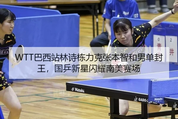 ba-xi-zhan-lin-shi-dong-li-ke-zhang-ben-zhi-he-nan-dan-feng-wang-guo-ping-xin-xing-shan-yao-nan-mei-sai-chang-2-874.jpg